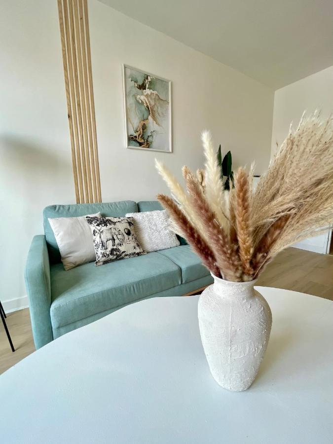 La Douceur Roannaise - Parking Prive Proche Gare Apartment Roanne Bagian luar foto